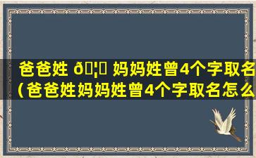 爸爸姓 🦉 妈妈姓曾4个字取名（爸爸姓妈妈姓曾4个字取名怎么取）